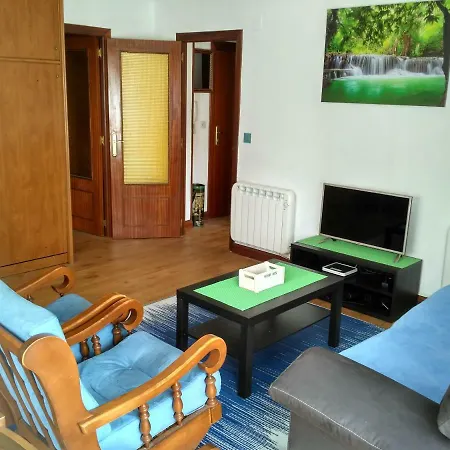 Vivienda Uso Turistico El Vie Apartment