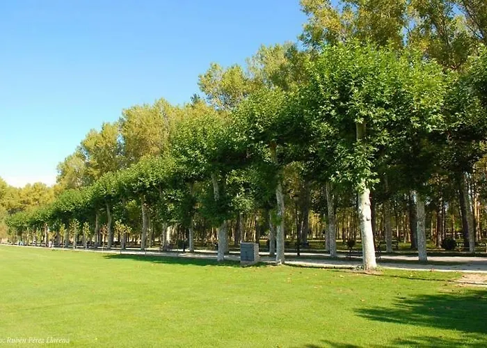 Appartement Vivienda Uso Turistico El Vie *